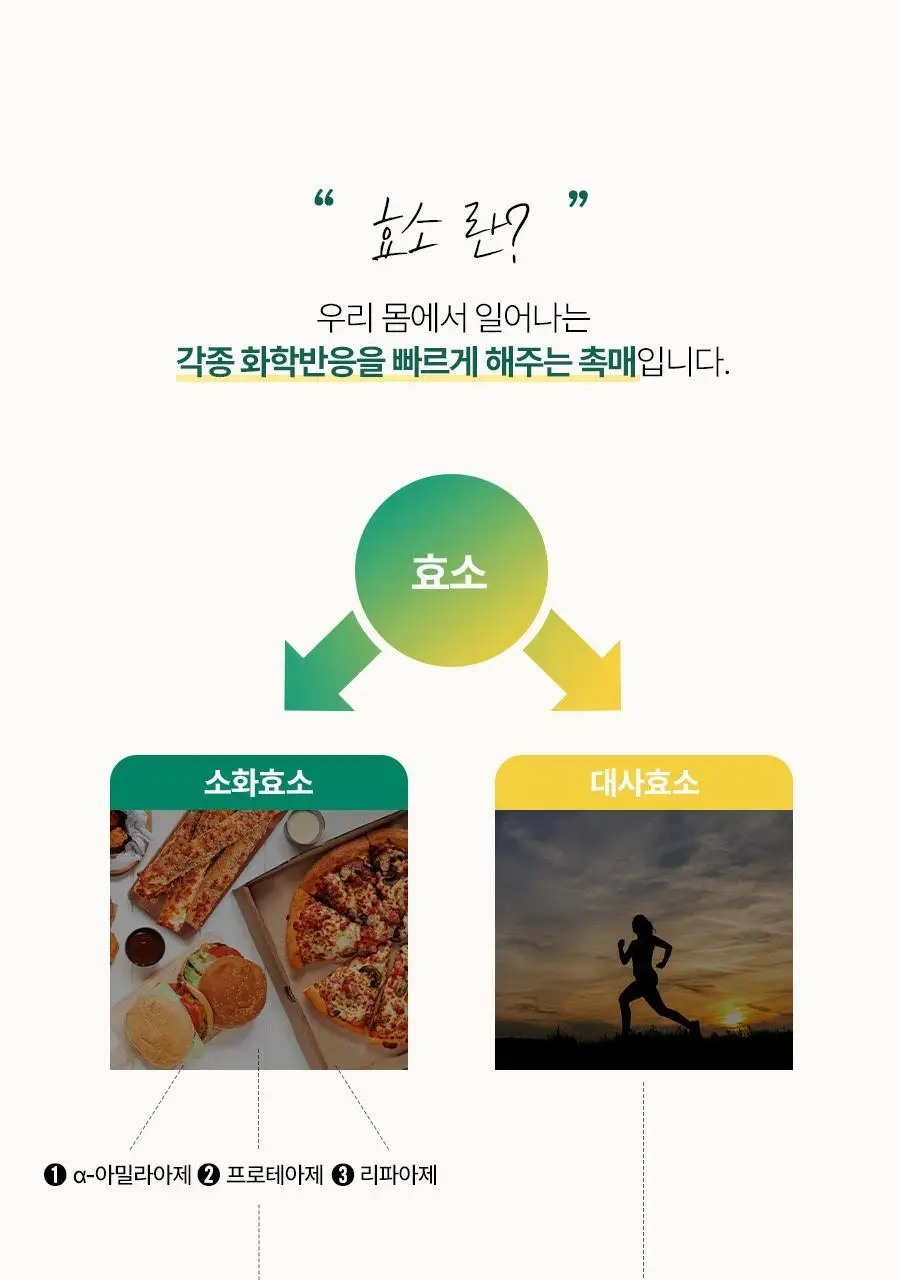 [서현 pick] 파인올로지 효소 14포 (2주분) 상세페이지 11
